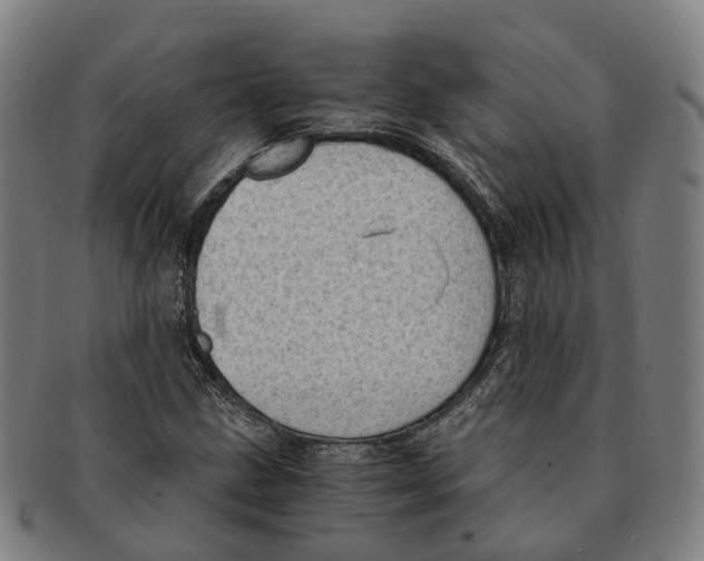 X0000091011211200708301349