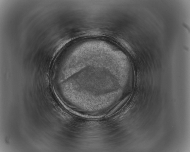 X0000091011212200708301349