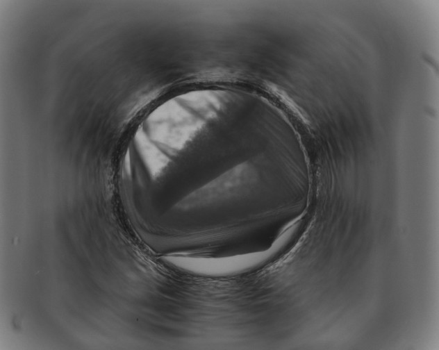 X0000091011213200708301349