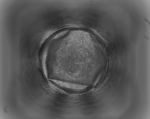 X0000091011215200708301349