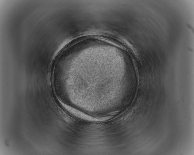 X0000091011216200708301349