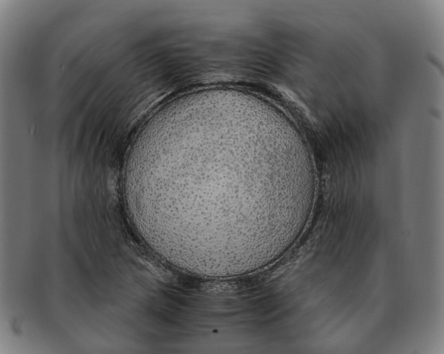 X0000091011217200708301349