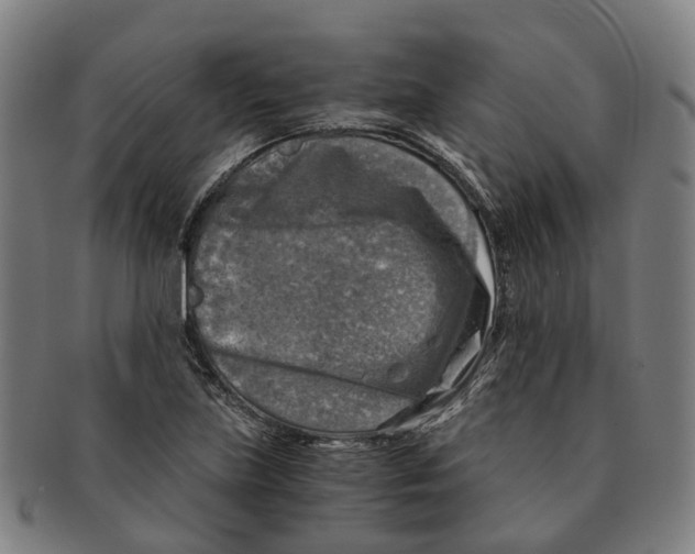 X0000091011219200708301349