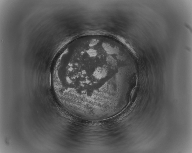 X0000091011221200708301349