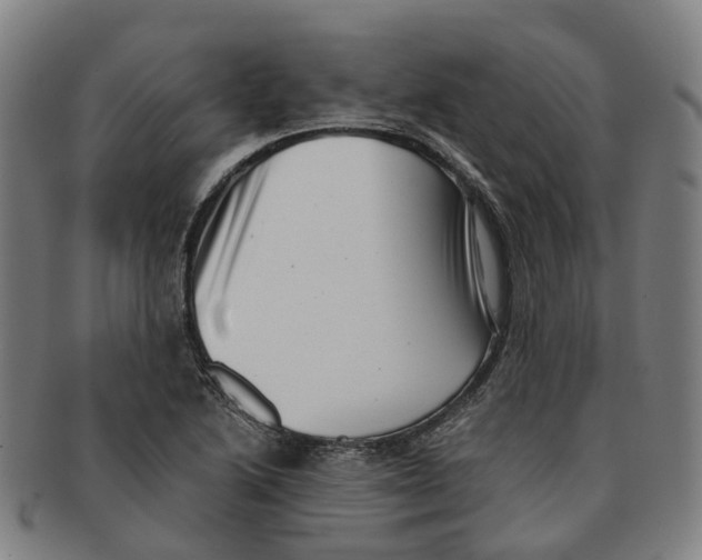 X0000091011222200708301349