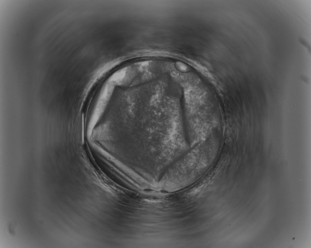 X0000091011223200708301349