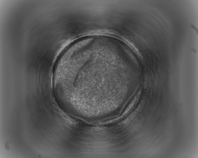 X0000091011224200708301349