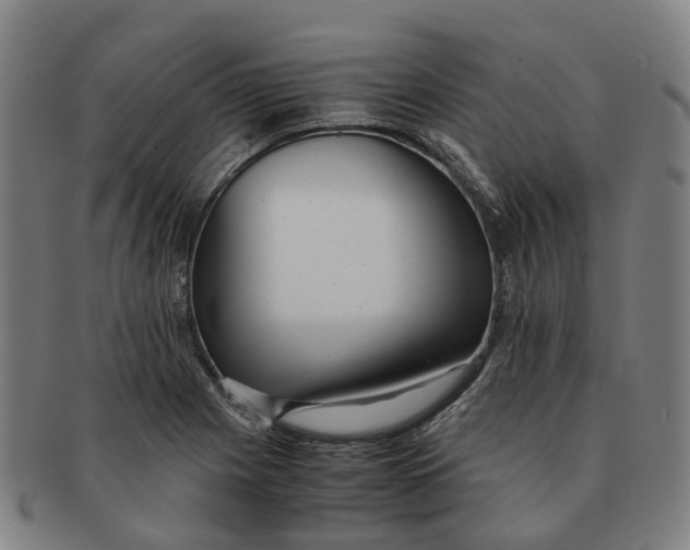 X0000091011225200708301349