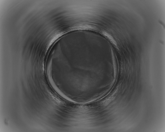 X0000091011226200708301349