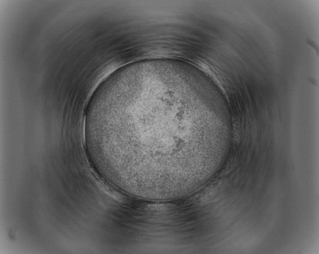 X0000091011227200708301350