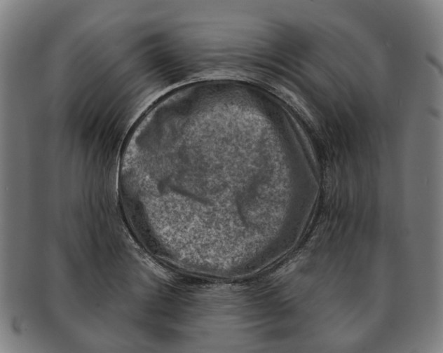 X0000091011228200708301350