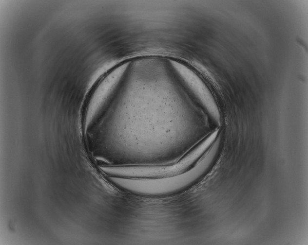 X0000091011230200708301350