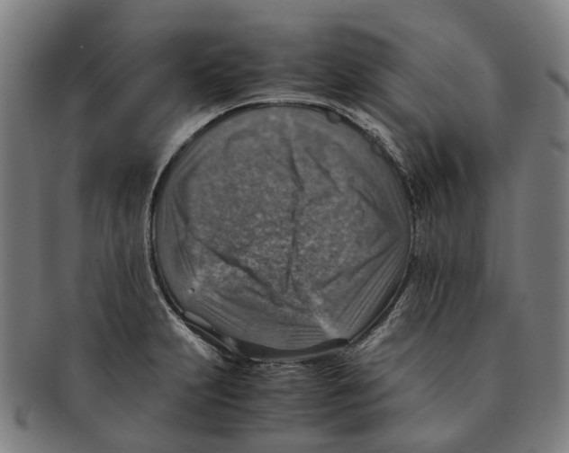 X0000091011231200708301350