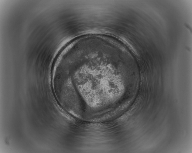 X0000091011232200708301350