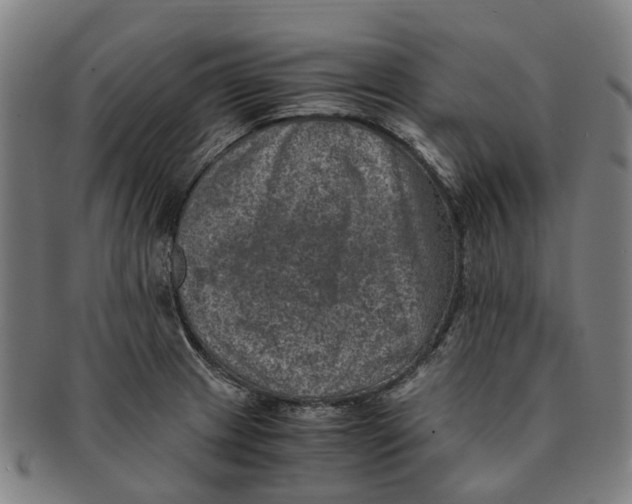 X0000091011233200708301350