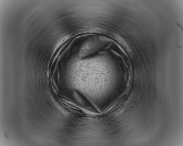 X0000091011234200708301350