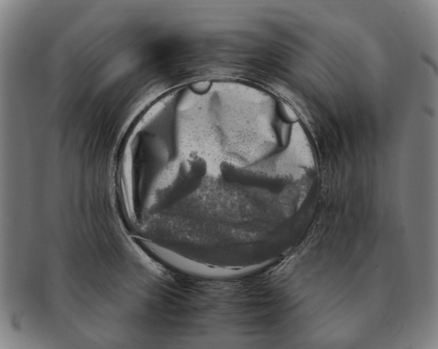 X0000091011235200708301350