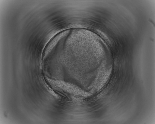 X0000091011236200708301350