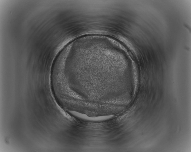 X0000091011237200708301350