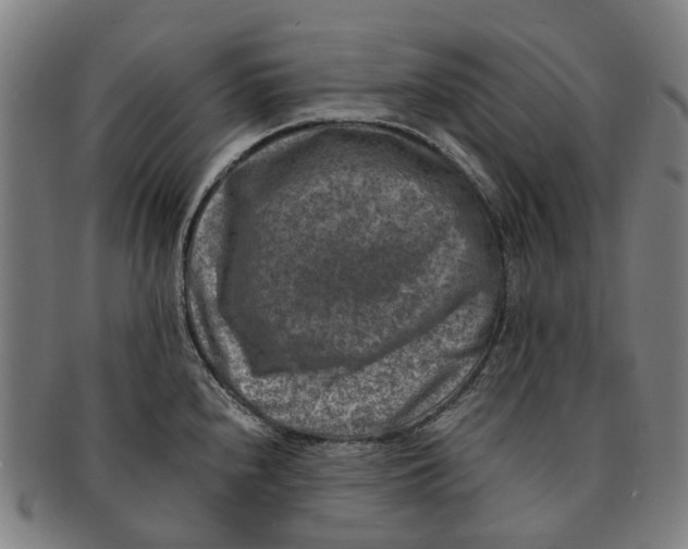 X0000091011240200708301350