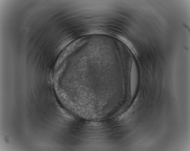 X0000091011241200708301350