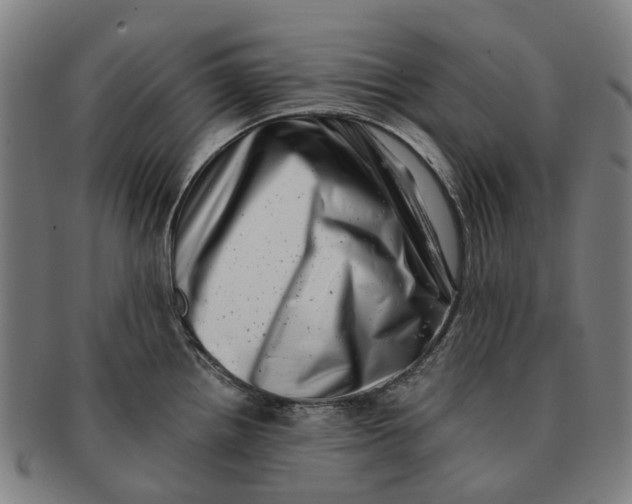 X0000091011242200708301350