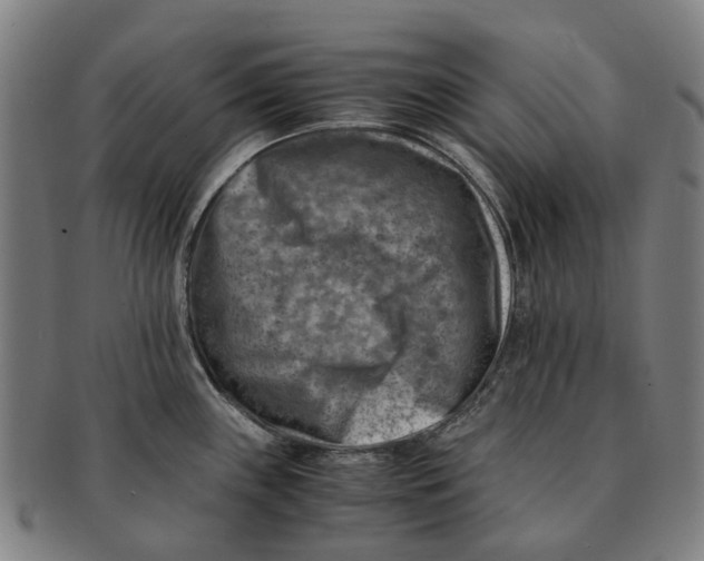 X0000091011243200708301350