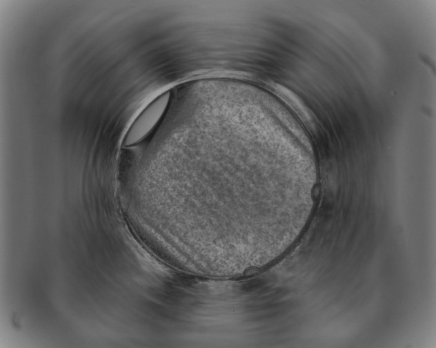 X0000091011244200708301350