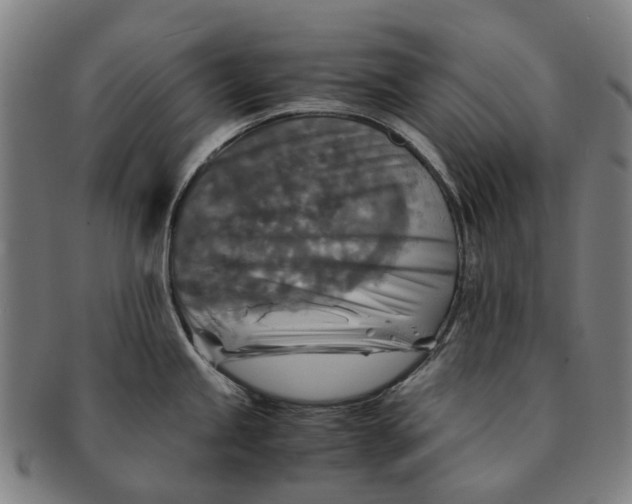 X0000091011245200708301350