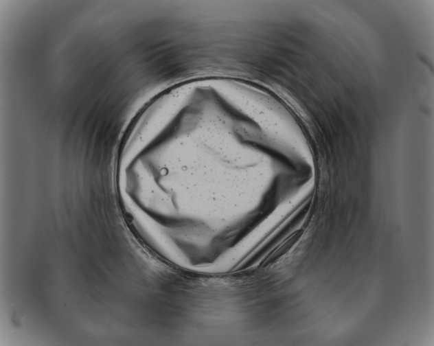 X0000091011246200708301350