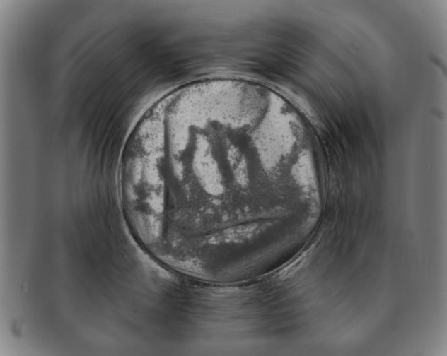 X0000091011247200708301350