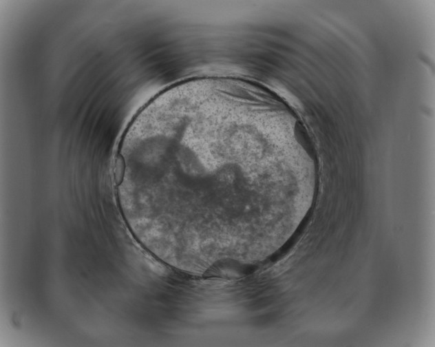 X0000091011248200708301350