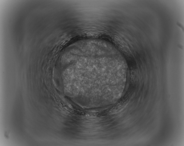 X0000091011249200708301349