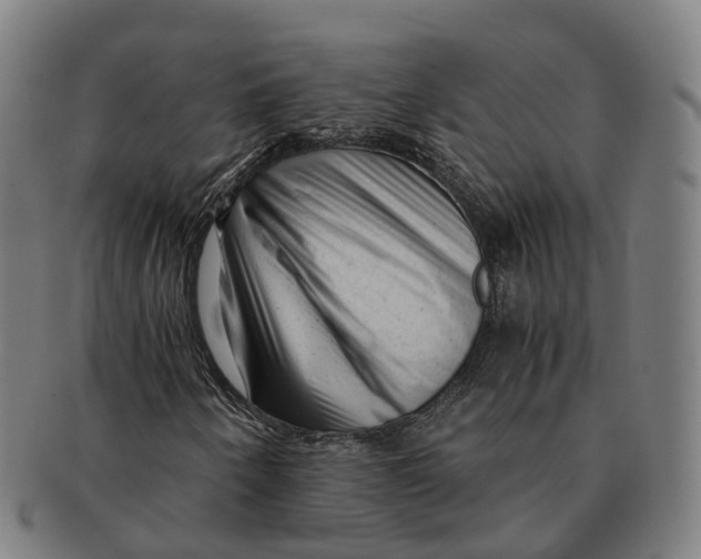 X0000091011250200708301349