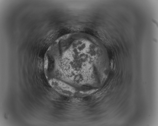 X0000091011251200708301349