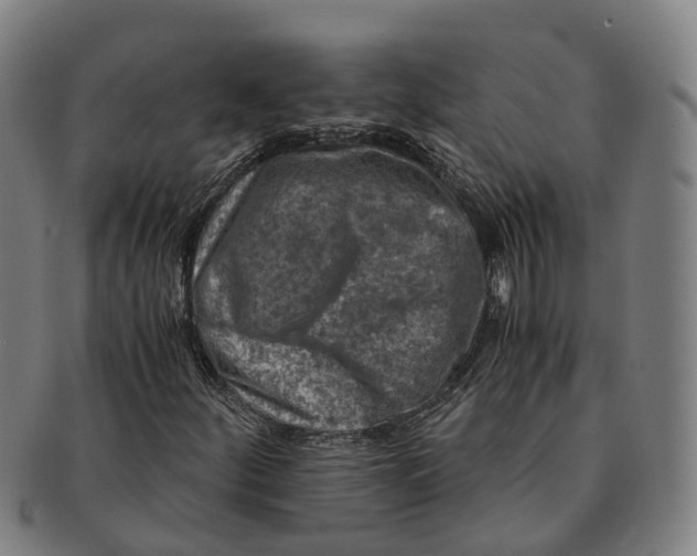 X0000091011252200708301349