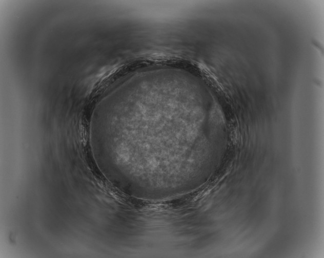 X0000091011253200708301349