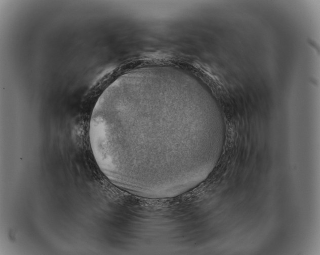 X0000091011254200708301349