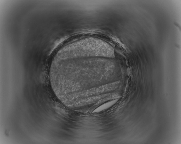 X0000091011256200708301349