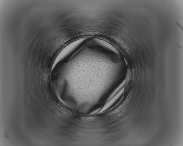 X0000091011257200708301349