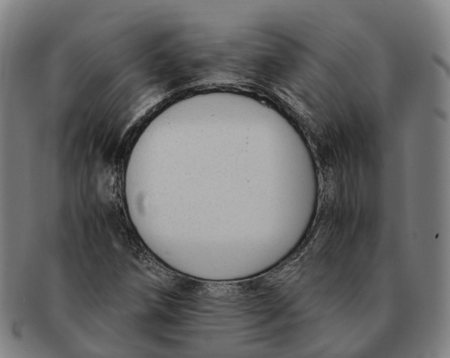 X0000091011258200708301349