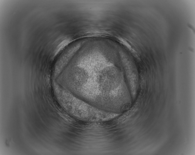 X0000091011259200708301349