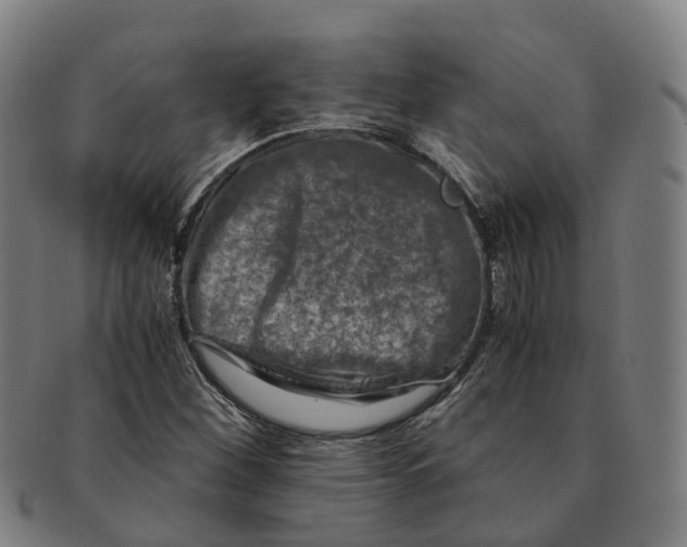 X0000091011260200708301349