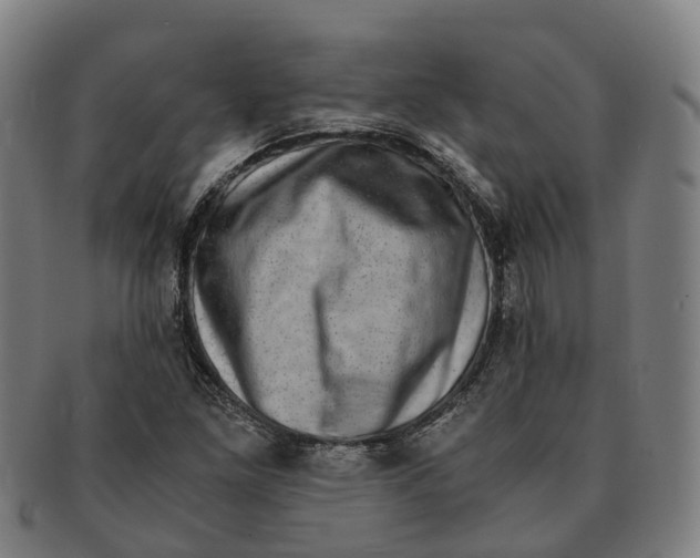 X0000091011261200708301349