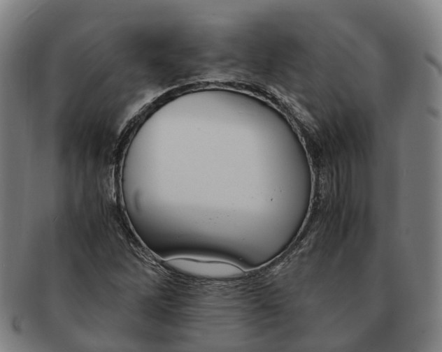 X0000091011262200708301349