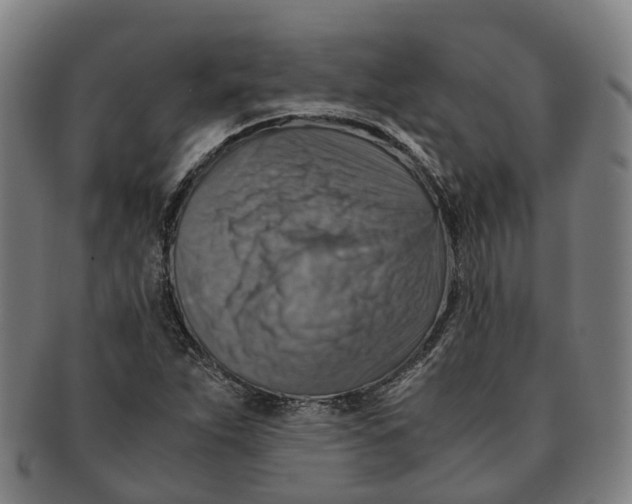 X0000091011263200708301349