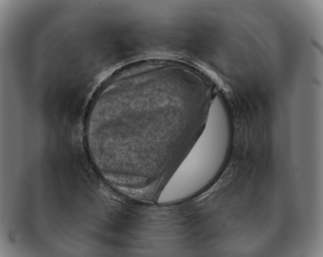 X0000091011264200708301349