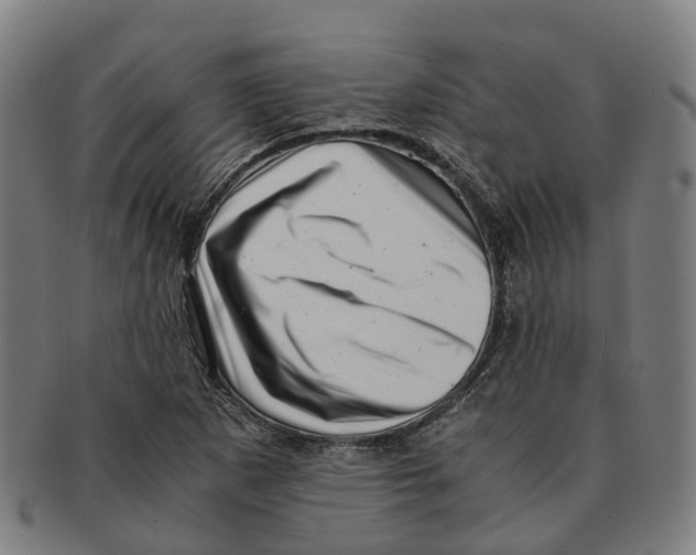 X0000091011265200708301349