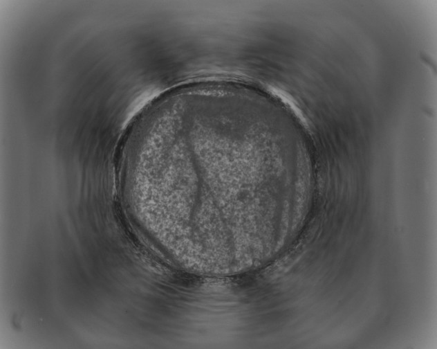 X0000091011267200708301349