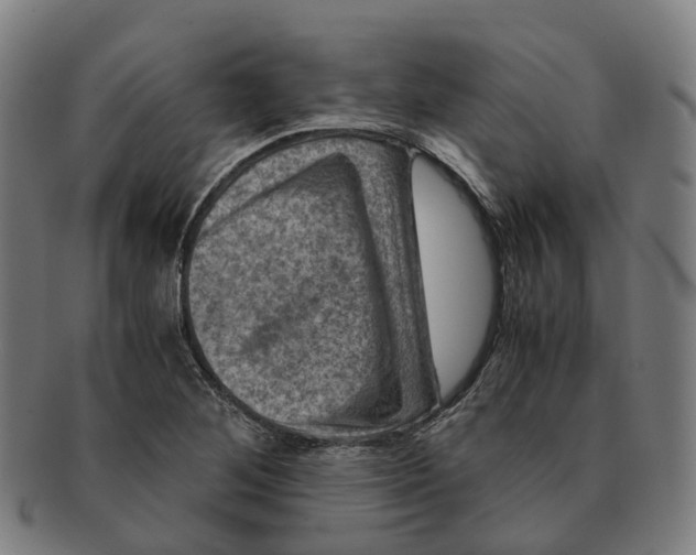 X0000091011268200708301349